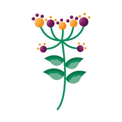 Isolated flower ornament design