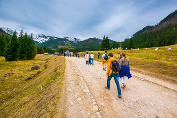 Zakopane, Poland - Apr 13 2018. Purple crocus flowers blooming in Chocholowska valley during spring season, Tatra Mountains, Poland © Zedspider