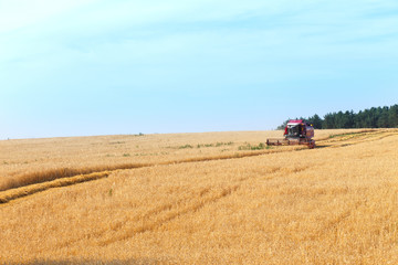 Obraz premium combine harvester working