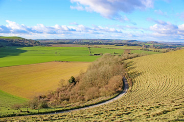 Monks Down, Wiltshire, in winter