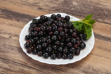 Fresh ripe sweet black currant