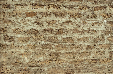 Background of a brick wall made of shell, the texture of porous stone from shells for the manufacture of building blocks.