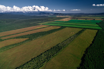 Fototapeta premium Aerial view of farm fields valley in the Kamchatka in Russia. Agricultural Landscape.