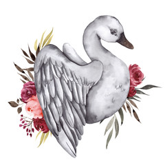 Watercolor illustration with pretty swan, hand draw mystery bird, isolated on white background