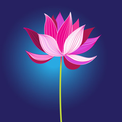 Beautiful pink vector lotus flower