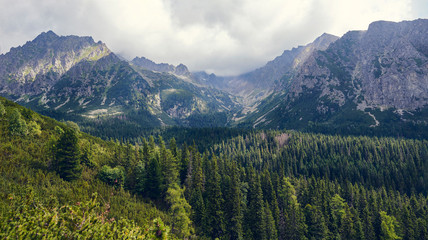 Fototapeta na wymiar Photograph taken in the Tatras Mountains, Slovakia