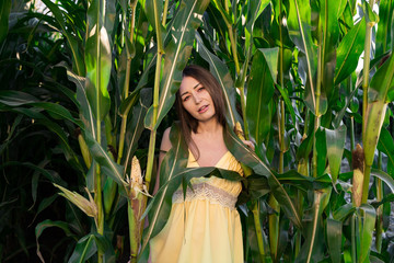 A girl in a yellow dress posing in a corn field