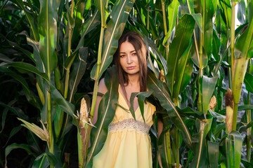A girl in a yellow dress posing in a corn field
