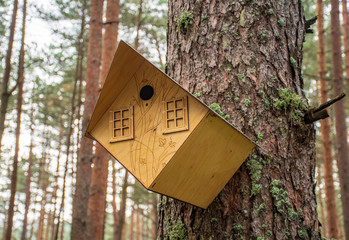 Beautiful wooden bird house hanging from a tree in a forest
