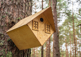 Beautiful wooden bird house hanging from a tree in a forest