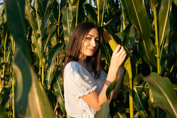 Brunette in a blue dress posing in a corn field