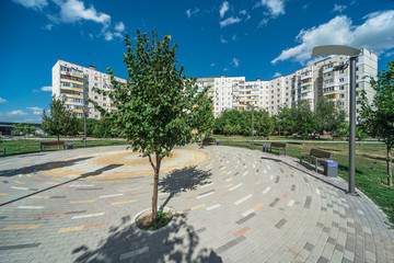 Alley in a city park with benches trees and lanterns