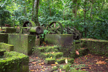 Sugar cane factory ruins near Cap Chevalier Beach - Martinique Excursions Ideas - Places to visit in martinique © dp studio