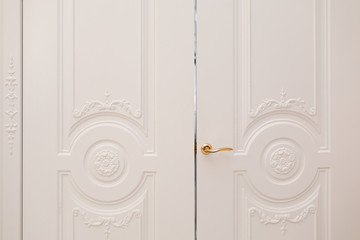 white door, luxury interior. Door isolated on white background