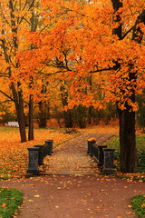 Autumn park in September, path with red leaves. Beautiful autumn landscape in the park, seasons.