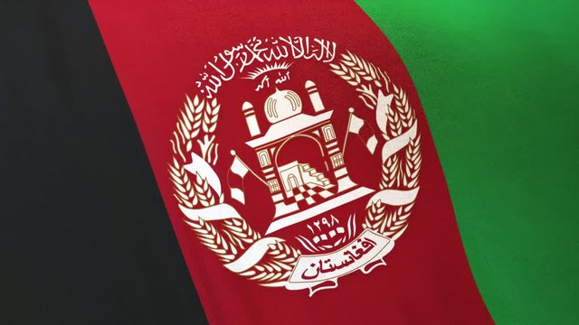 Afghanistan national flag seamlessly waving on realistic satin texture 29.97FPS