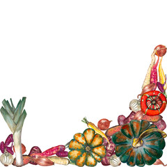 Seamless border of colorful realistic ripe pumpkins, carrot, onion and potatoes. Watercolor hand painting elements on white background. Harvest holiday and halloween party backdrop.  