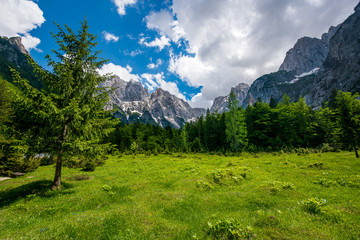 Triglav national natural Park in Slovenia, Pisnica valley. Hiking trails for tourists. Beautiful...
