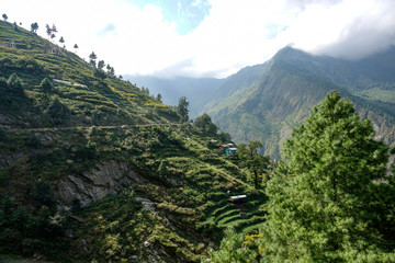 Naklejka premium AERIAL: Scenic view of rice terraces and forest covering the hills in Himalaya