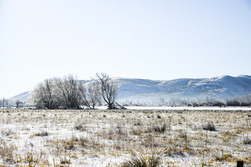 Bright and Sunny Winter, Snow and Icy On A Lonely Farmland, Ellensburg, WA, USA