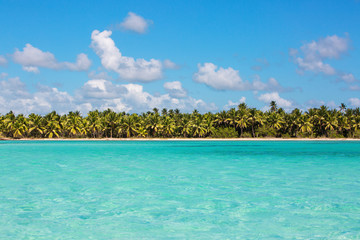 Wild tropical beach with white sand and coconut trees. Beauty and calm. View from the sea. Turquoise clear water. Saona Island Dominican Republic