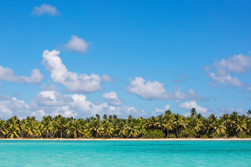 Wild tropical beach with white sand and coconut trees. View from the sea. Turquoise clear water. Saona Island Dominican Republic