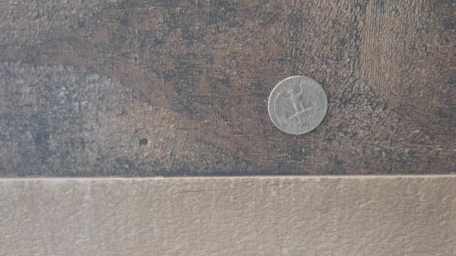 United states quarter flip landing tails. Closeup 4k of coin on a wood table.