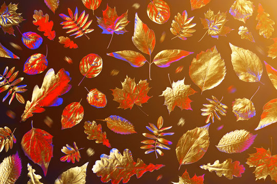 open composition of different Golden autumn leaves in neon light on a black background