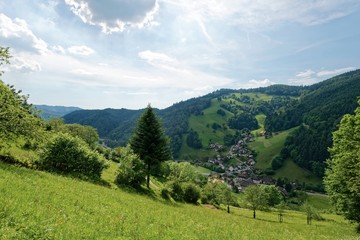 Baden-Württemberg - Münstertal/Schwarzwald - Wanderweg