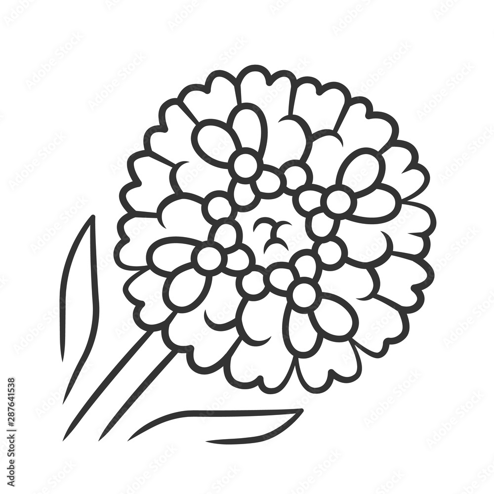 Wall mural Candytuft linear icon. Aster garden flower. Iberis evergreen perennial plant. Blooming wildflower. Spring blossom. Thin line illustration. Contour symbol. Vector isolated outline drawing