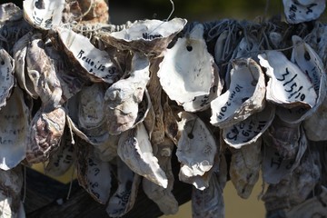 voeux sur des huitres