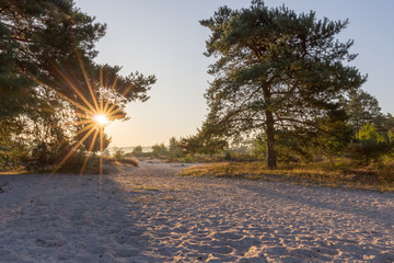 Brunsummerheide (translation Brunssumer meadows) a national park in South Limburg in the Netherlands with morning fog over the field during sunrise