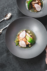 Swordfish with Grilled Avocado and Radishes, Fine dining