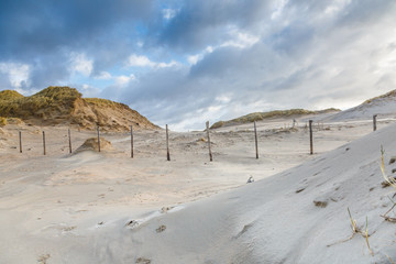 Beautiful wintry dune scenery along Dutch North Sea coast with by wind power carved deep holes with steep walls and in wind bending European Beachgrass and background sky with blue spots and clouds