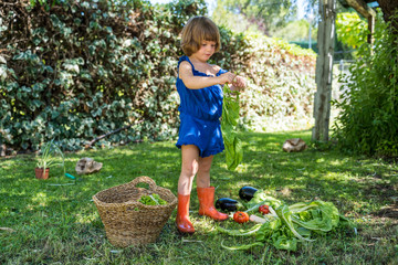 Small kid holding an organic vegetable. Family healthy values for a healthy lifestyle.