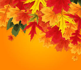 Naklejka na ściany i meble Autumn Natural Leaves Background. Vector Illustration