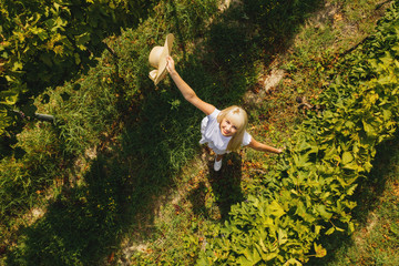 Fototapeta na wymiar Aerial view of beautiful girl in hat stands on large vineyard plantation.