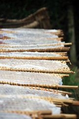 Drying rice paper, Mekong Delta, Viet Nam