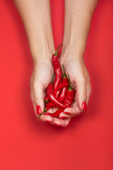 Female hands holding a handful of fresh red hot chilli peppers. Isolated on red background.