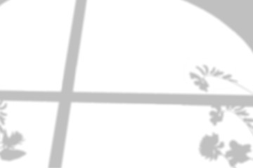 Black shadow silhouette and overlay on the white isolated background for photos. Use multiply blend mode. Natural shadow.