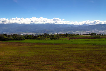 Agricultural area with a blue sky full of clouds in the background, on a bright day.