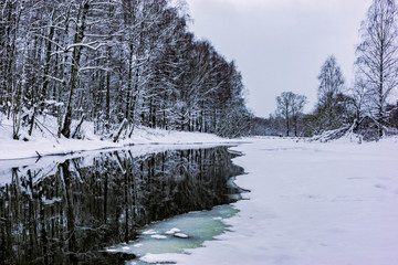 Winter landscape, trees in the snow on the bank of an ice-free river