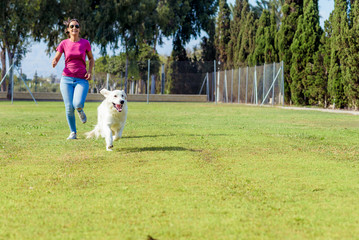 Sporty woman and dog running together in the park on summer sunset. Cheerful female athlete training and exercising outdoor with her pet.