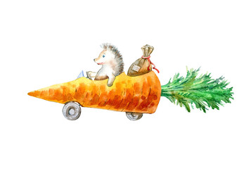 Hedgehog on a carrot machine.Travel sketch. White background.Watercolor hand drawn illustration. - 287652508