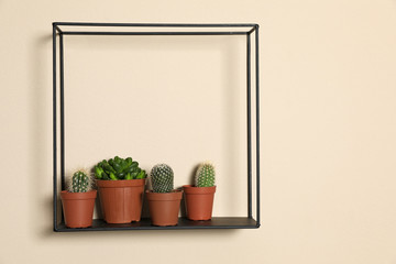 Shelf with potted plants on beige wall, space for text. Trendy home interior decor