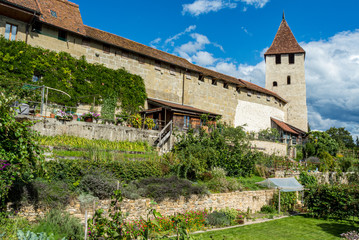 City Wall in Murten