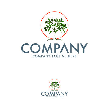 Olive tree logo design template