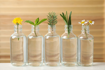 Glass bottles of different essential oils with plants on table