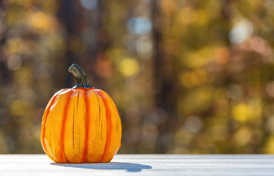 Small pumpkin outside on a fall forest background
