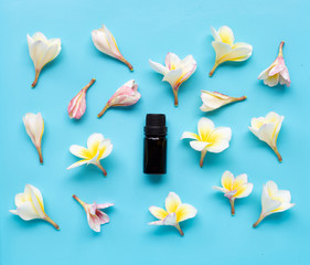 Essential oil with plumeria or frangipani flower on blue background.